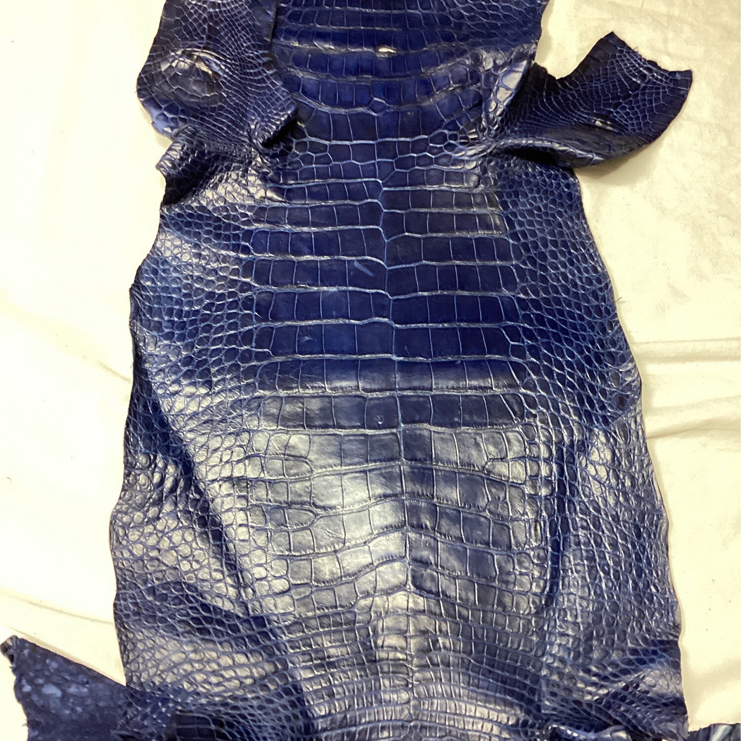 Navy Belly Skin