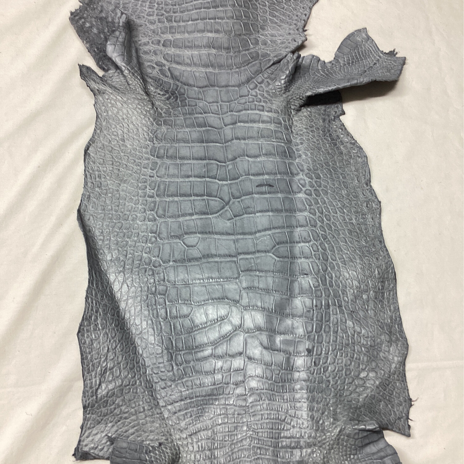 Gray Belly Skin