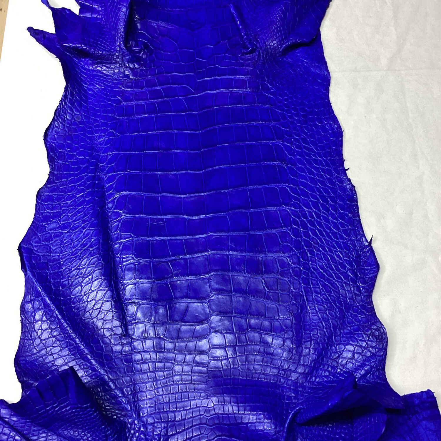 Royal Blue Belly Skin