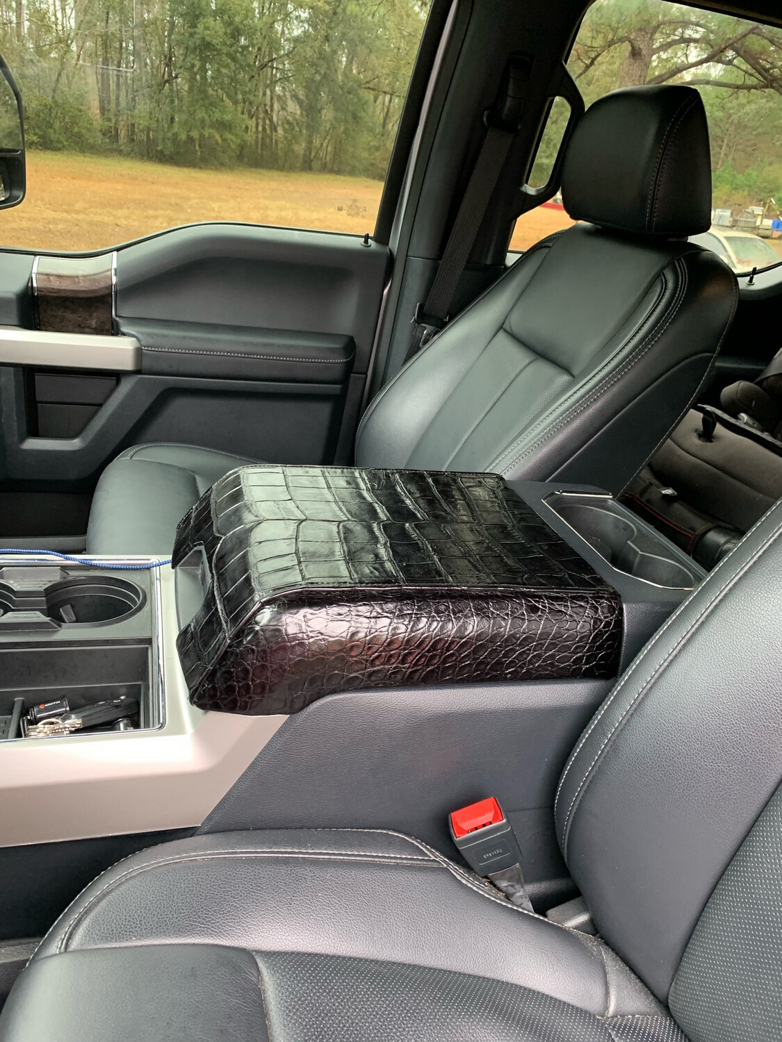 Center Console Deposit, Ford
