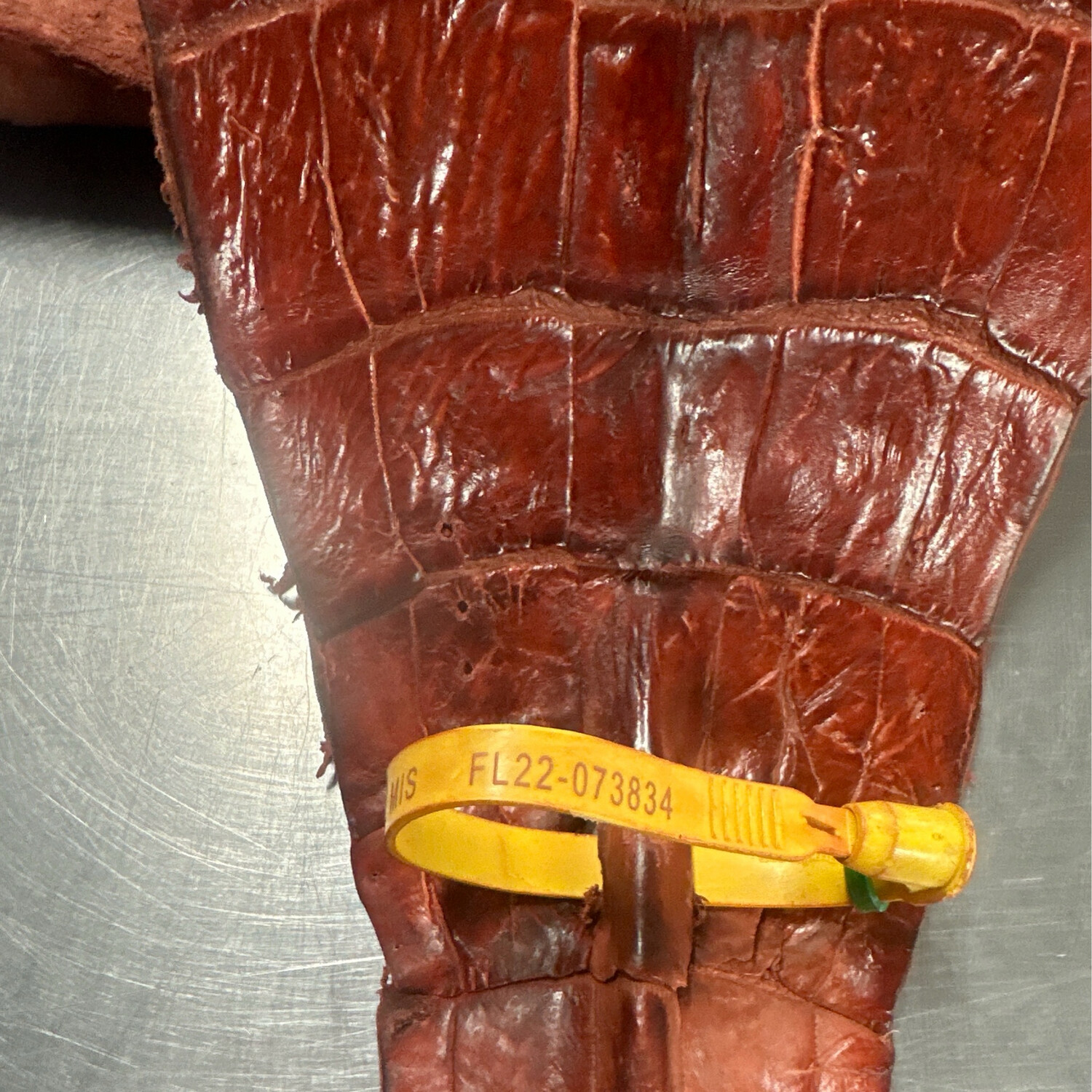 Cognac Alligator Belly Skin