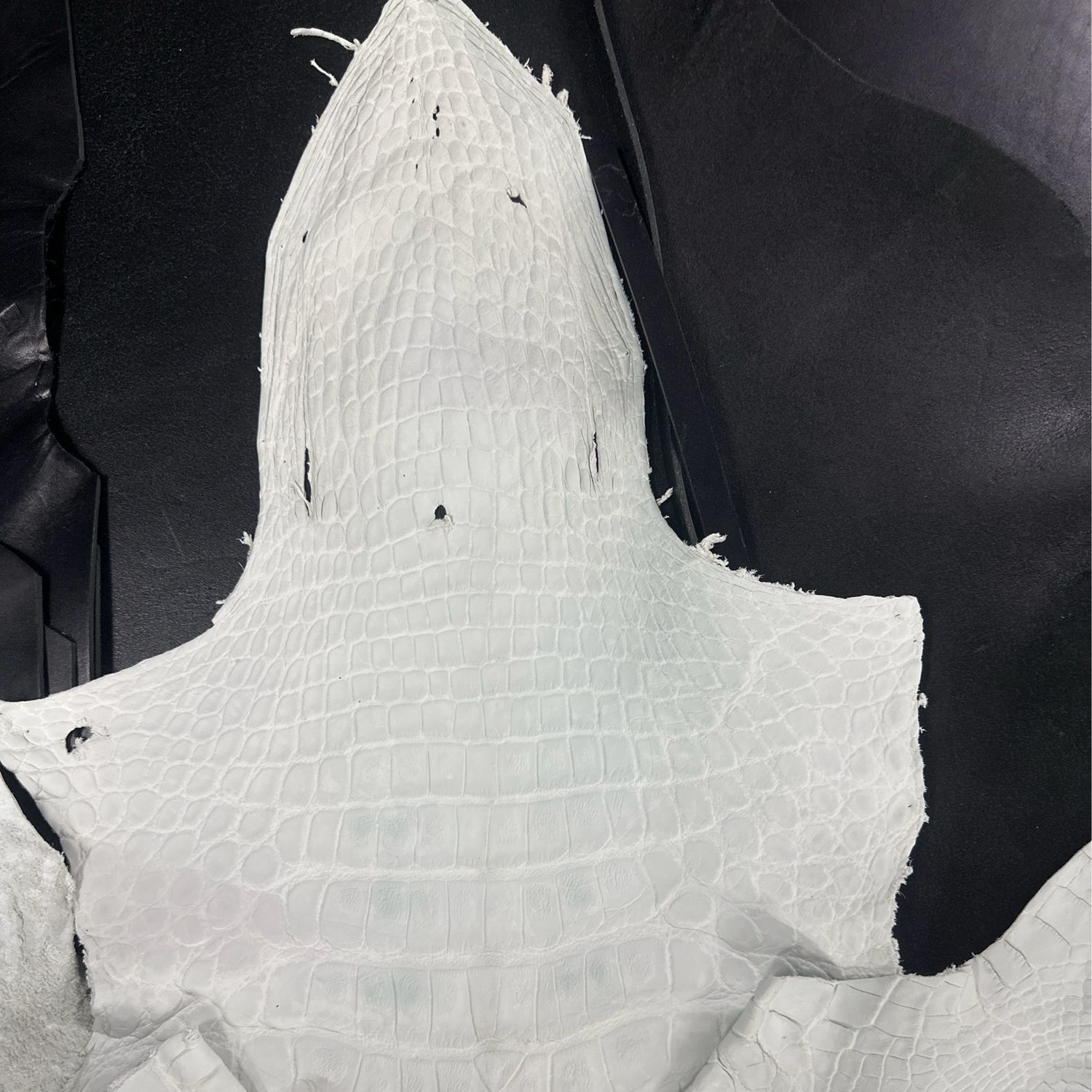 Crust Alligator Belly Skin