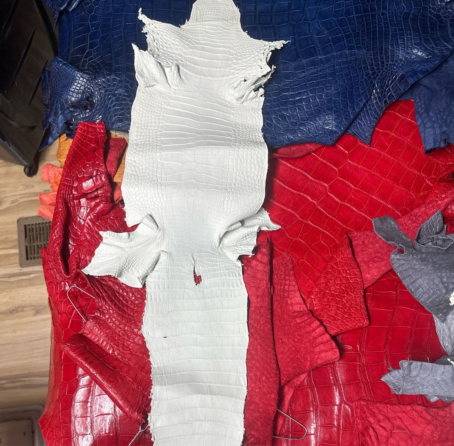 Crust Alligator Skin