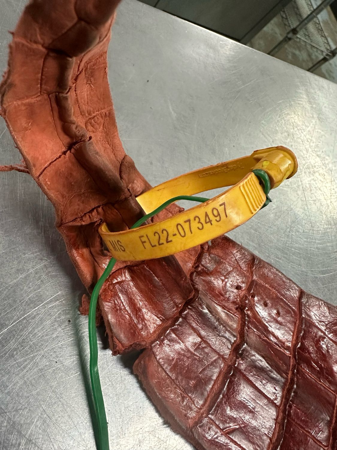 Cognac Alligator Belly Skin