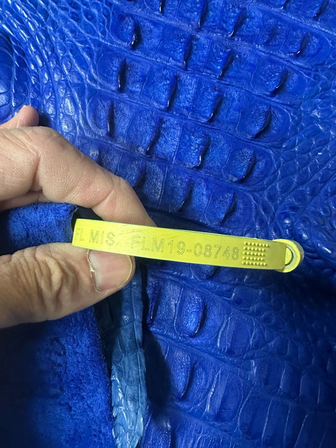 Royal Blue Hornback Alligator Skin