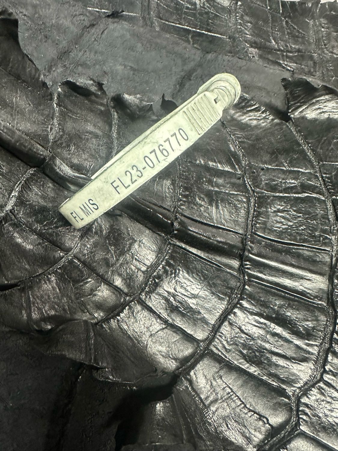 Black Alligator Belly Skin