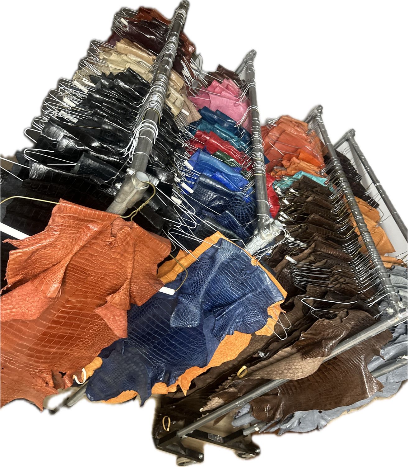 American Alligator Skins