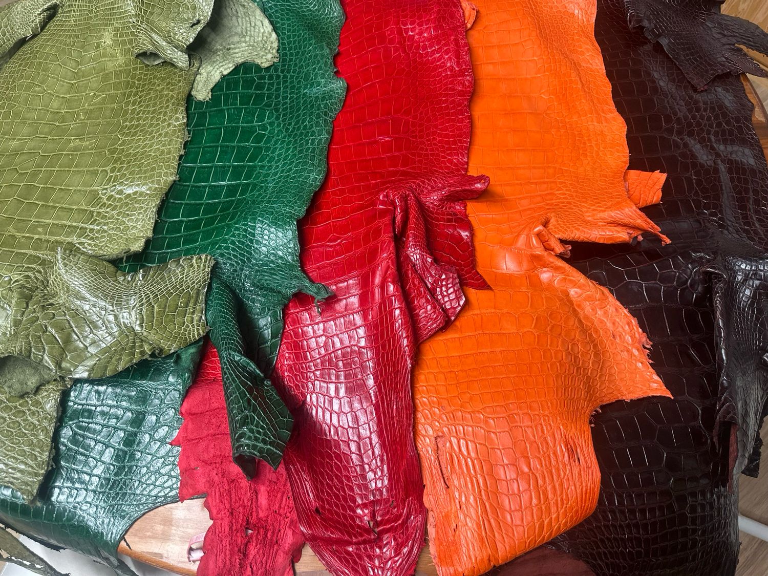 American Alligator Skins