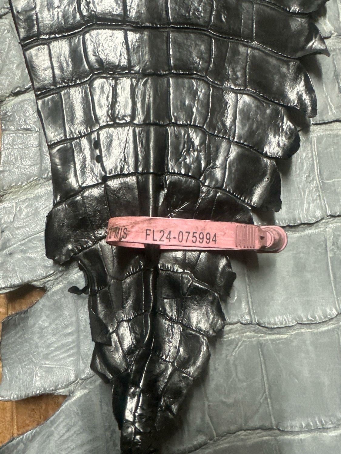 Black Alligator Belly Skin