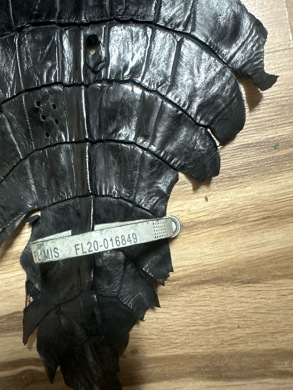 Black Alligator Belly Skin