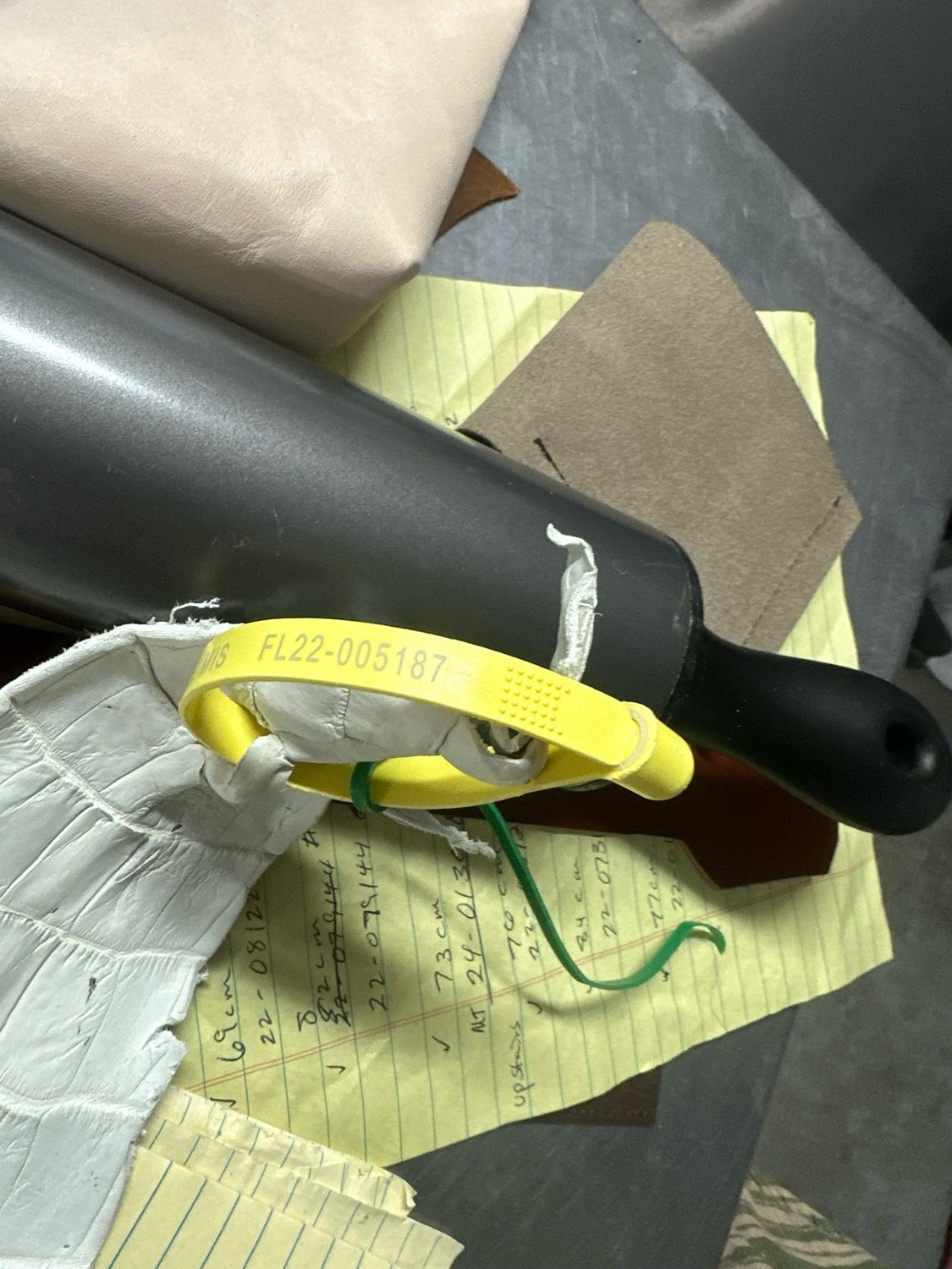 Crust Alligator Skin