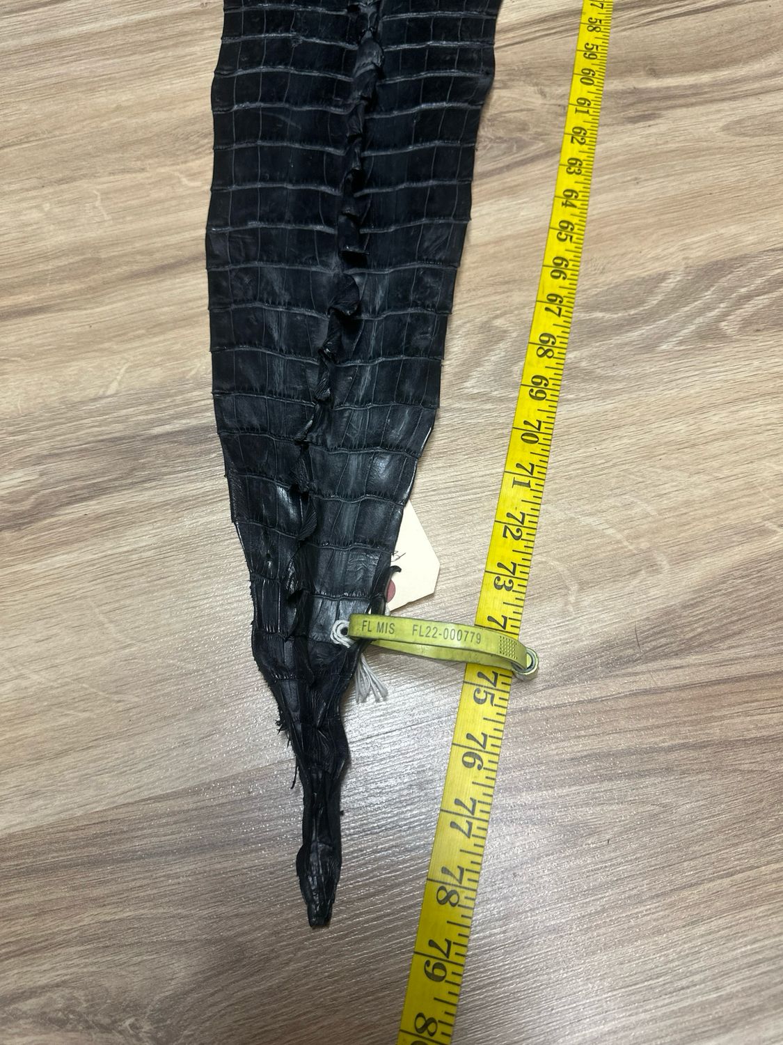 Black Hornback Alligator Skin
