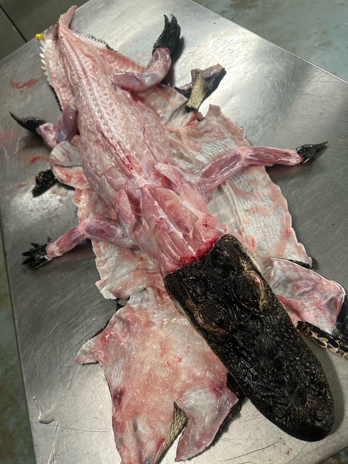BBQ Whole Alligator Deposit