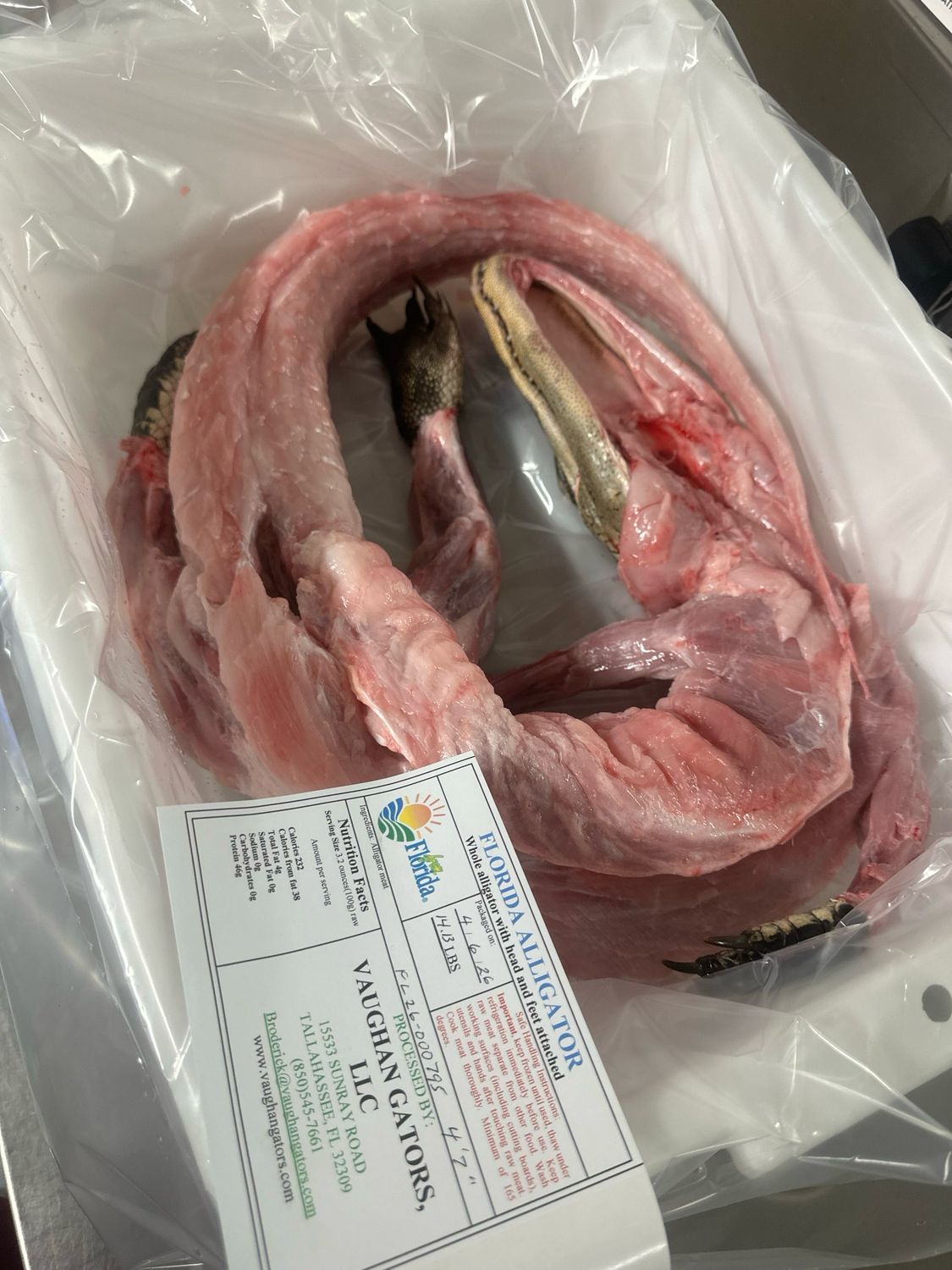 Whole BBQ Alligator