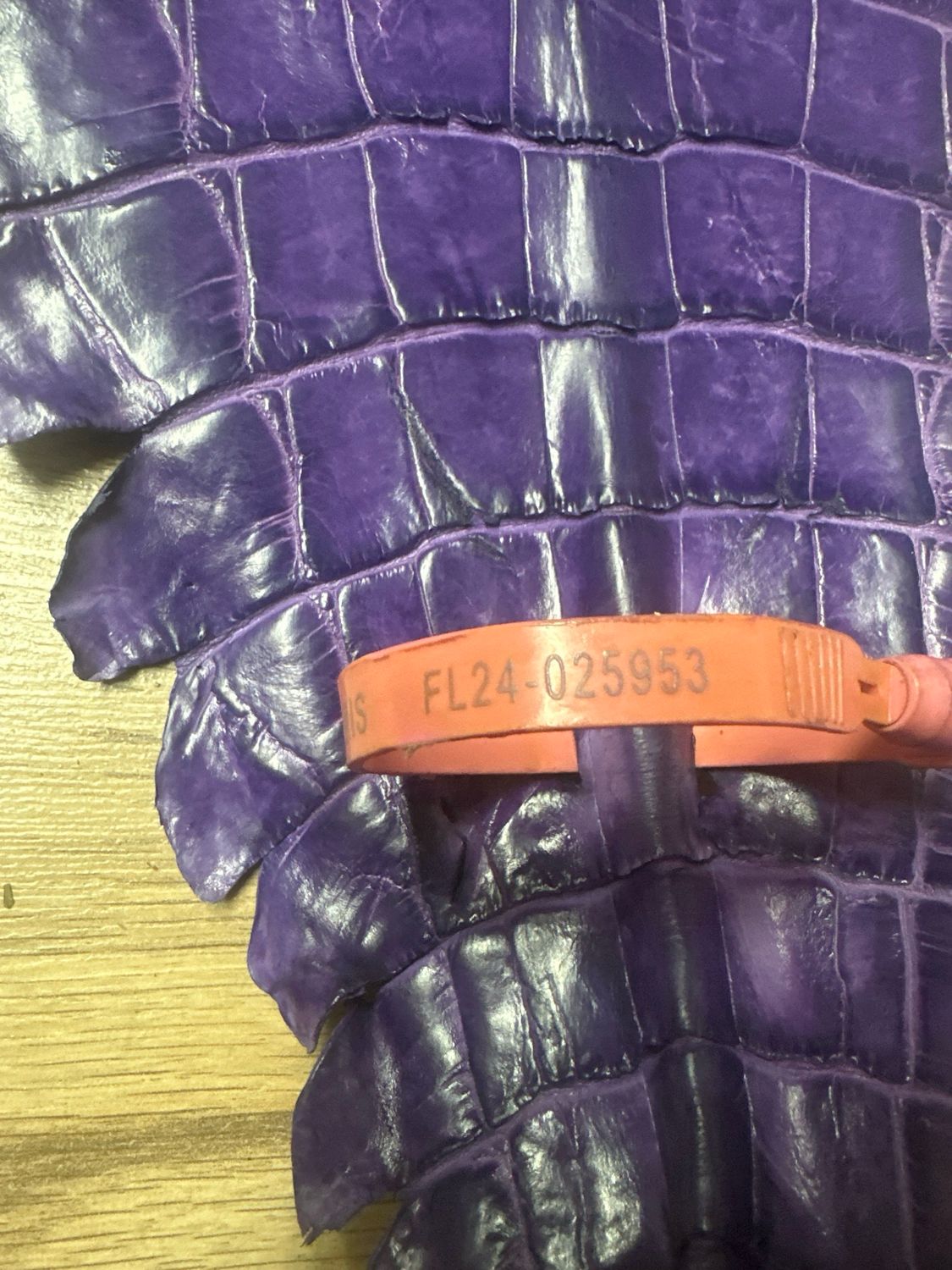 Purple American Alligator Skin