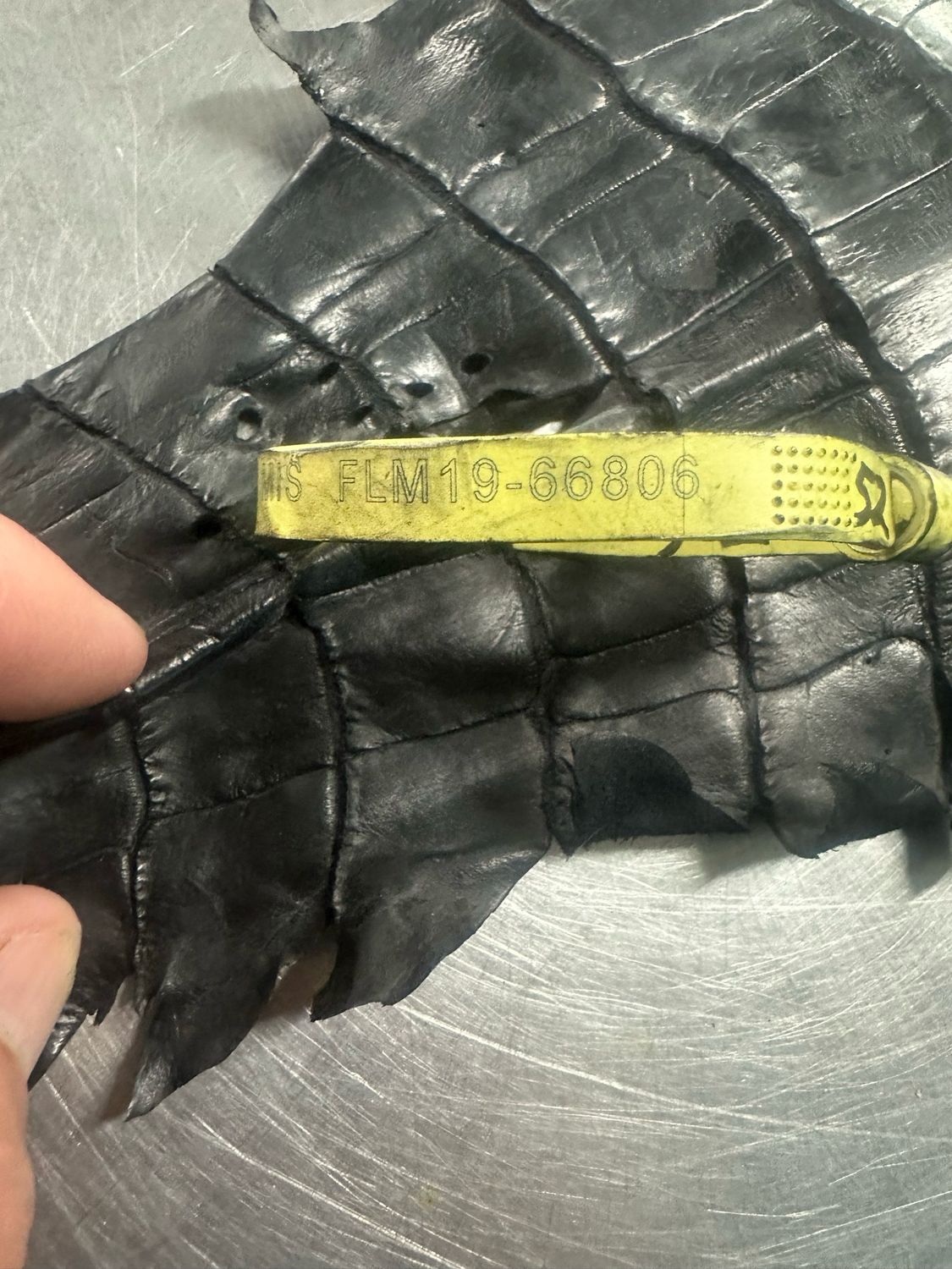 Black American Alligator Skin