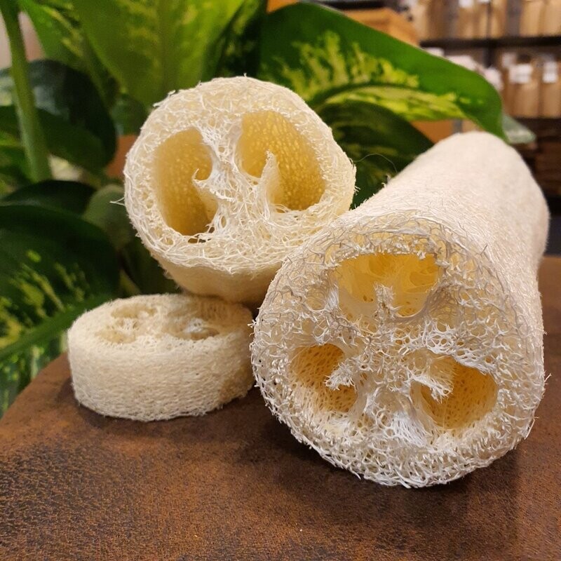 Luffa
