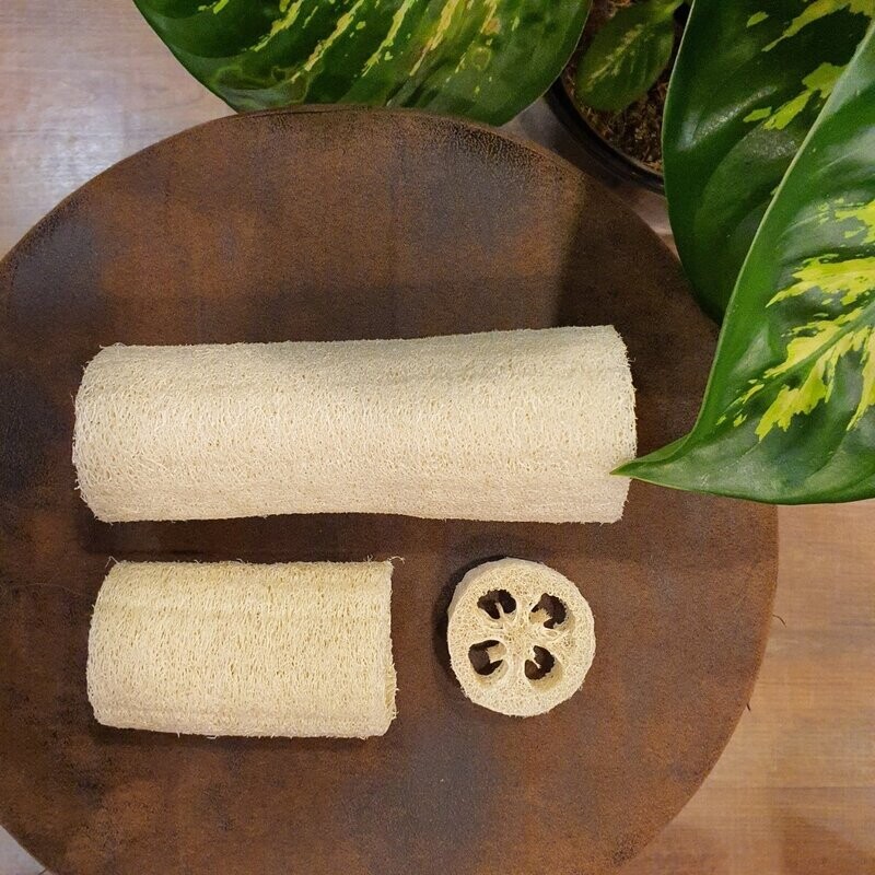Luffa