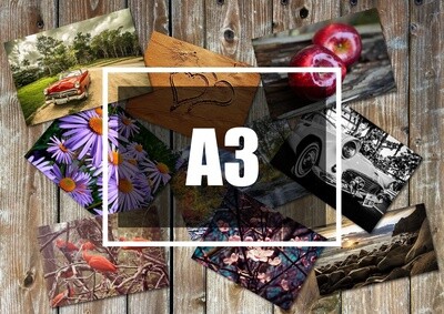 Fénykép - A/3 méretben