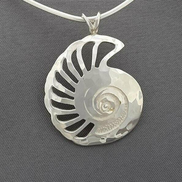 Nautilus Slide