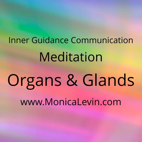 Guided Meditation - Organs and Glands