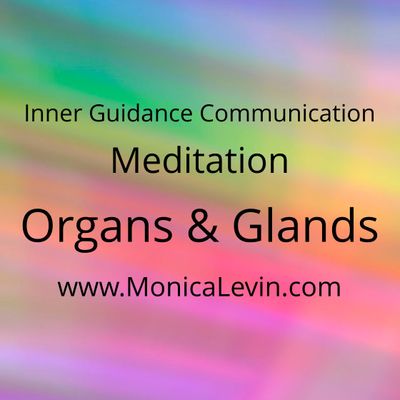 Guided Meditation - Organs and Glands