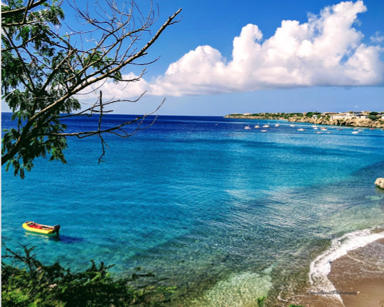 Playa Forti 16&quot; x 20&quot; Canvas Print