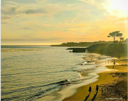 Sunset on Westcliff 16&quot; x 20&quot; Canvas Print