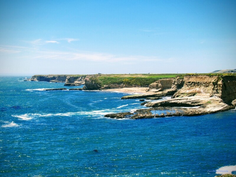 Wilder Ranch State Park, CA 12&quot; x 16&quot; Photo Print