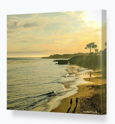 Canvas Prints