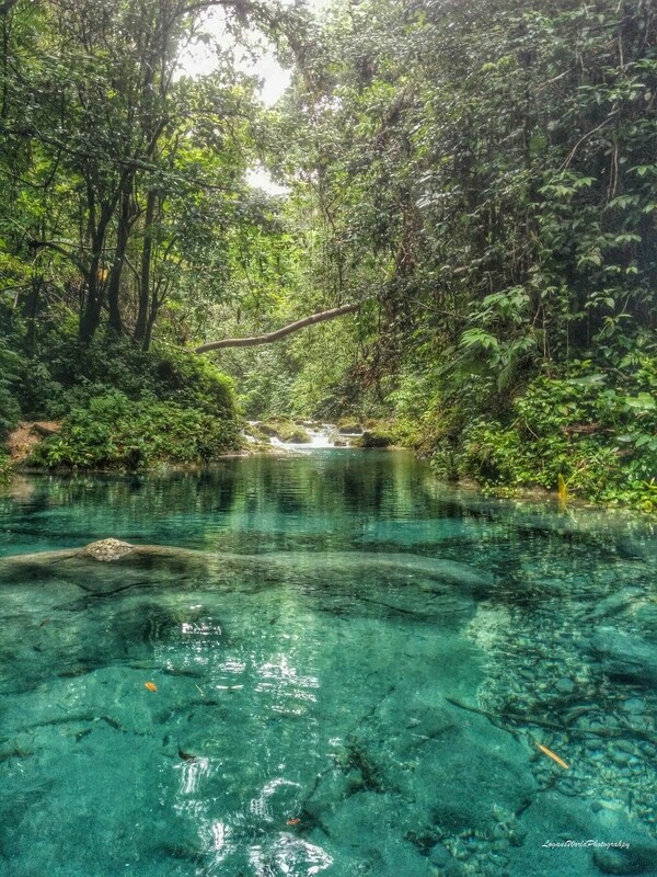 Reach Falls 12&quot; x 16&quot; Photo Print