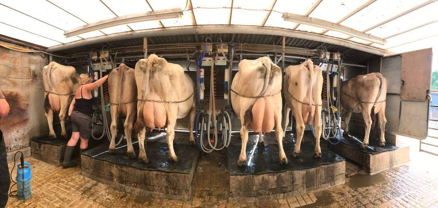 Family Friendly Farm Tours