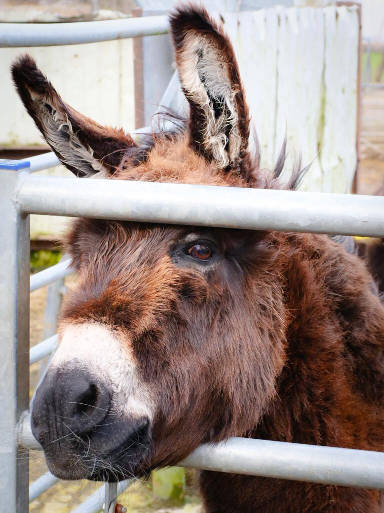 Family Friendly Farm Tours