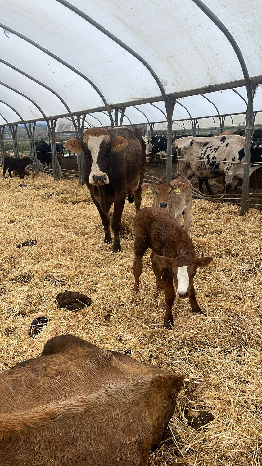 Family Friendly Farm Tours