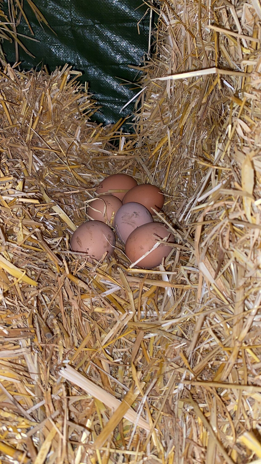 Family Friendly Farm Tours
