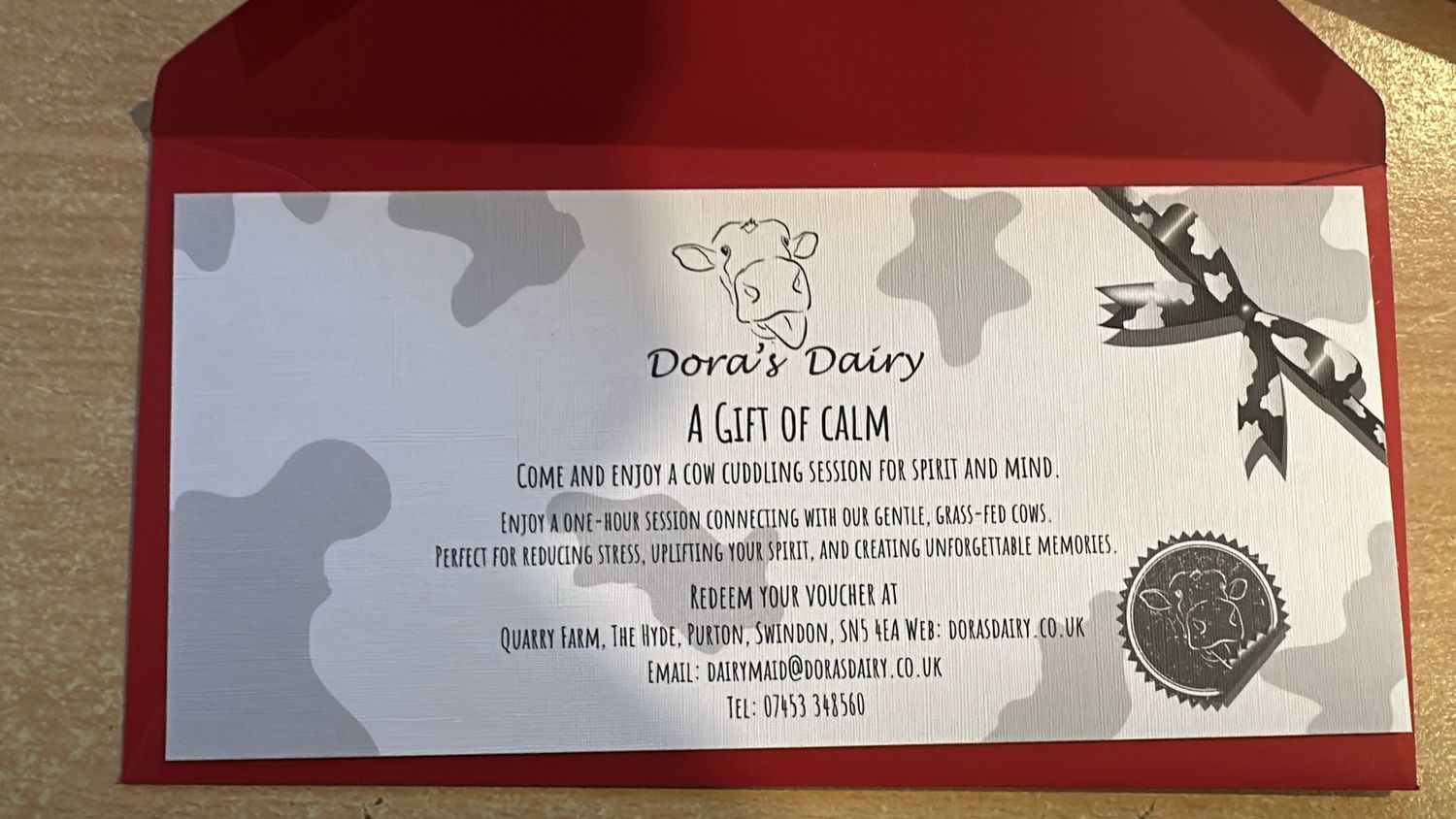 Christmas Cow Cuddling Experience