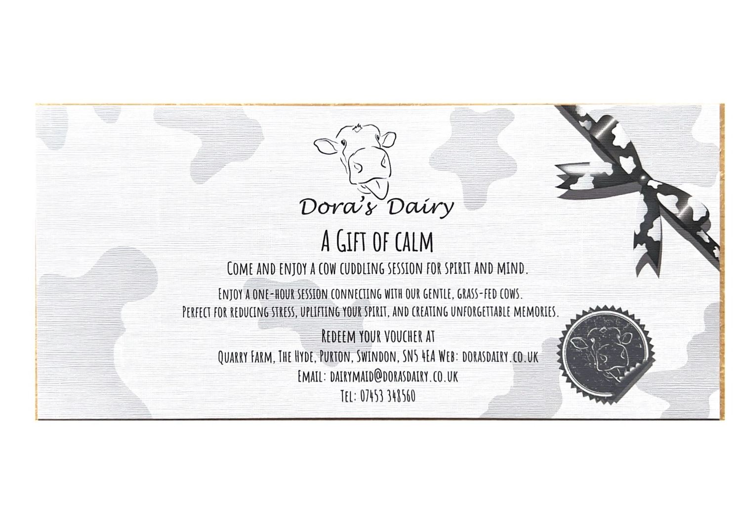 The Cow Cuddling Experience: Calm, Connection, and Comfort