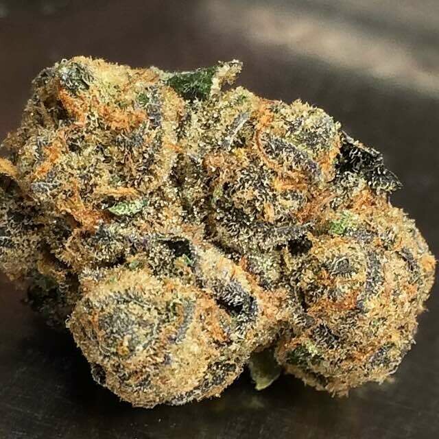 Girl Scout Cookies