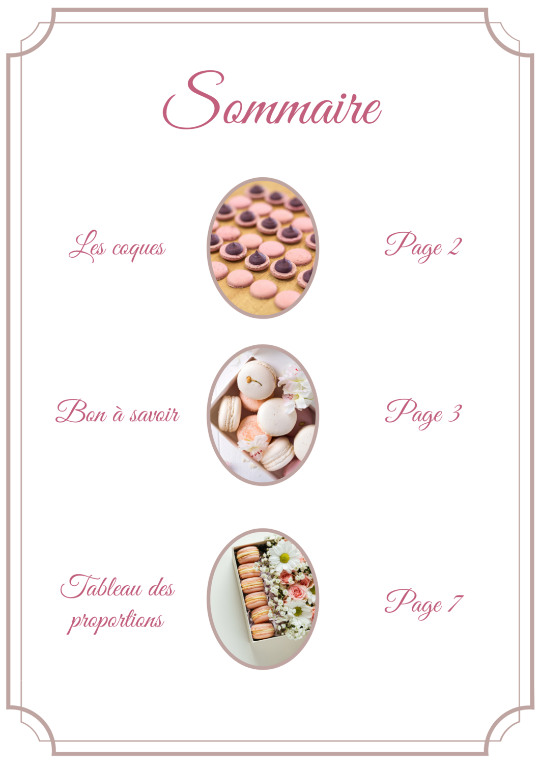 TOME 3 - Les macarons