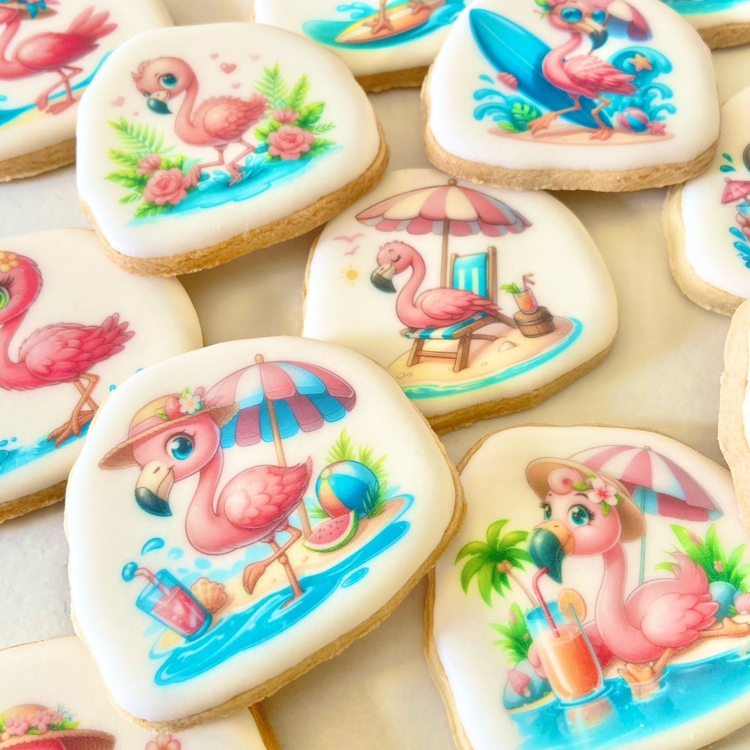 Les flamands roses
