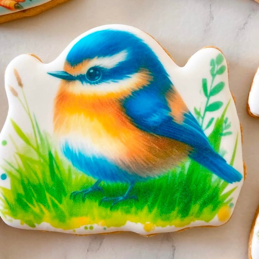 Les oiseaux