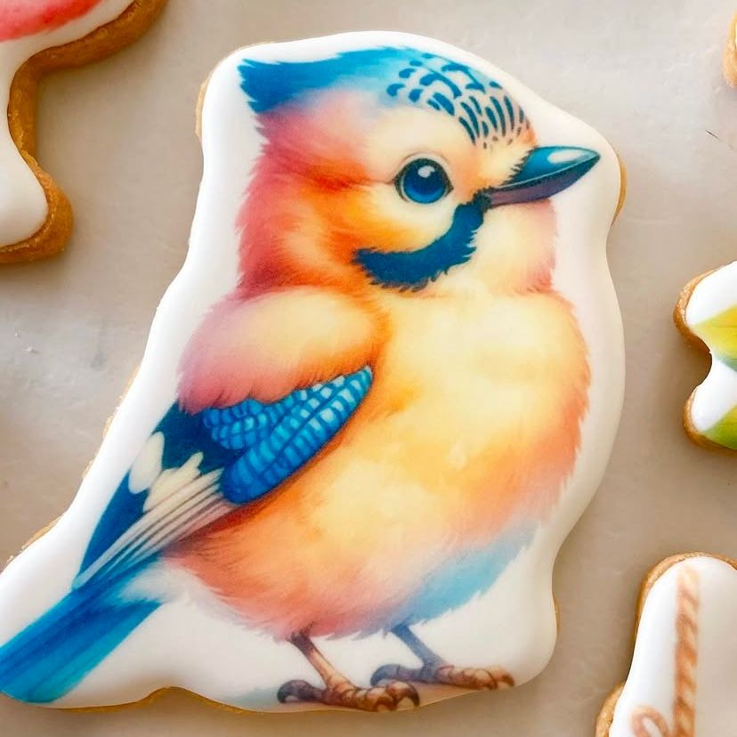Les oiseaux