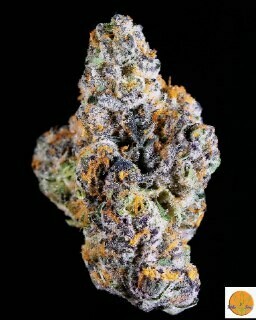 Harle-Tsu (Hybrid)