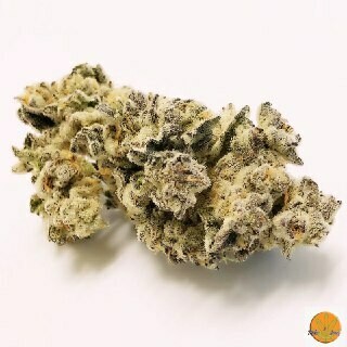 G-13 (Indica)