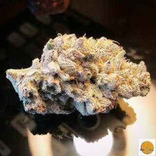 Abusive OG (Hybrid)
