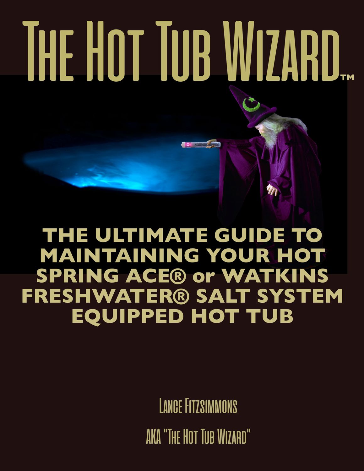 The Ultimate Maintenance Guide For Ace & Freshwater Salt System