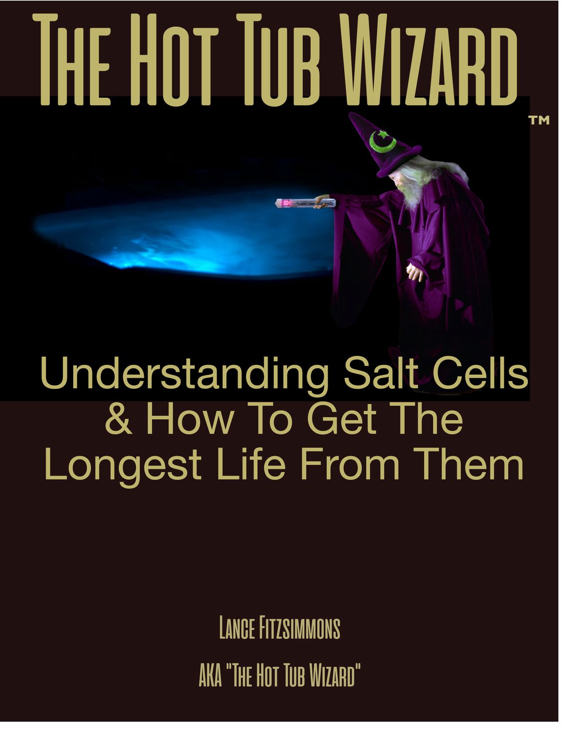 Understanding Salt Cells and How to Get The Longest Life From Them
