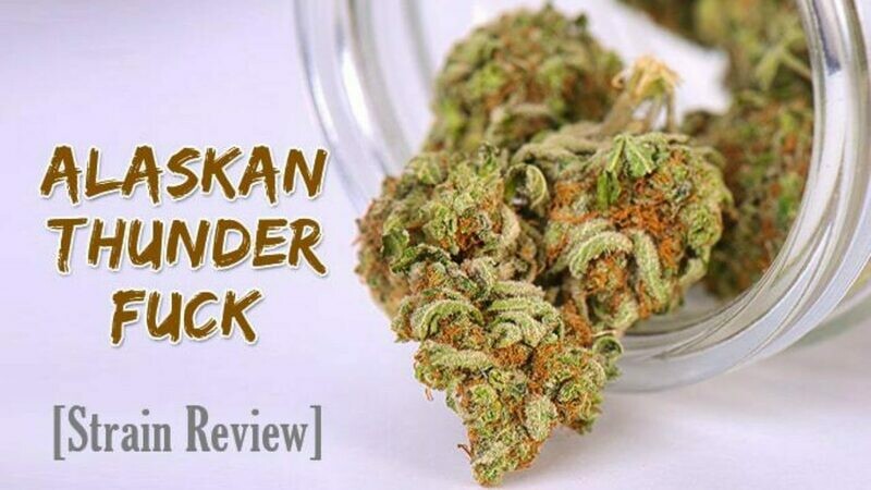 Alaskan thunder fuck