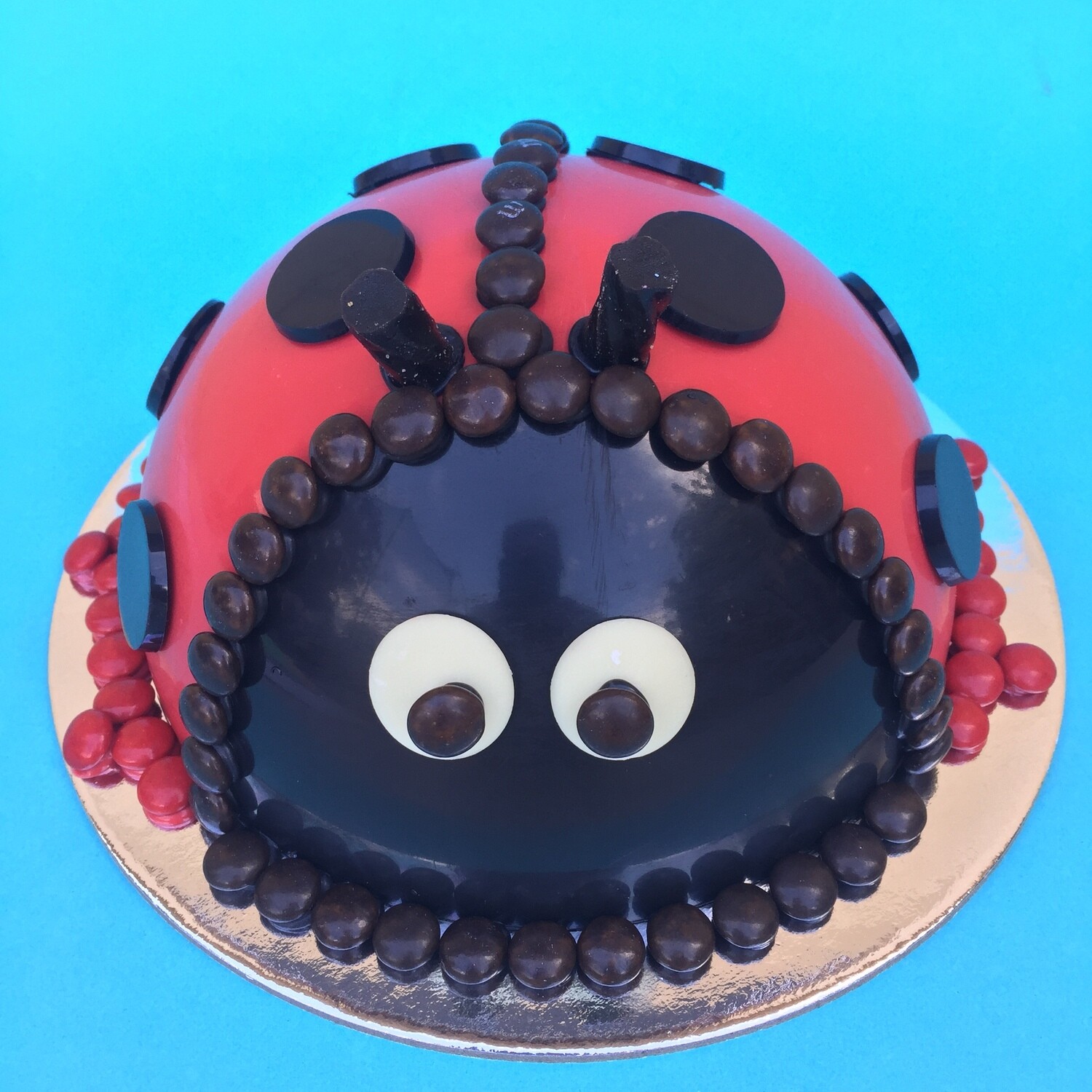 Lady Bug Lady Bug