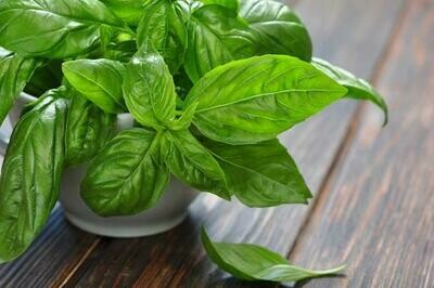 Basil (Micro) - 30g